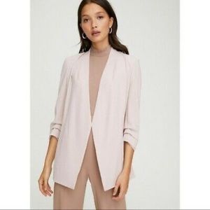 Aritizia Babaton Power Blazer